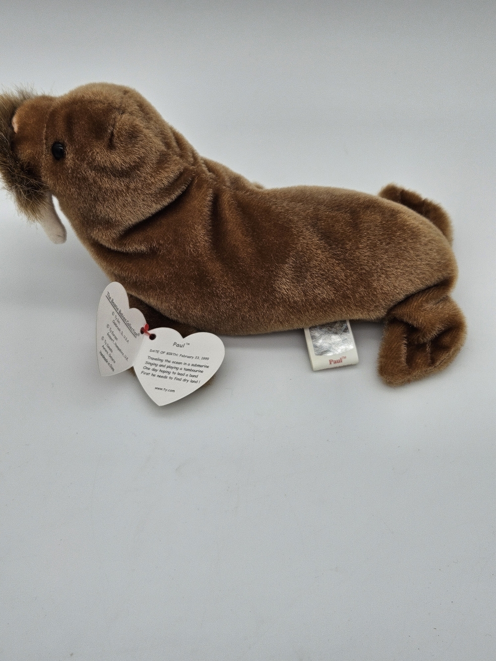 Ty Beanie Baby Walrus - Paul - Picture 3 of 4